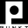Punkt Workshop logo
